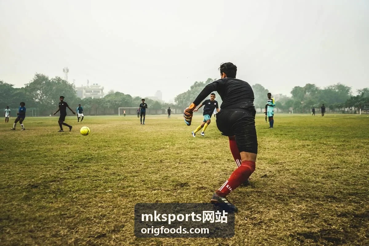 mksports网站赛后复盘数据对照