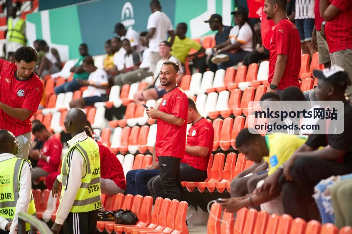 mksports网站历史交锋数据表格